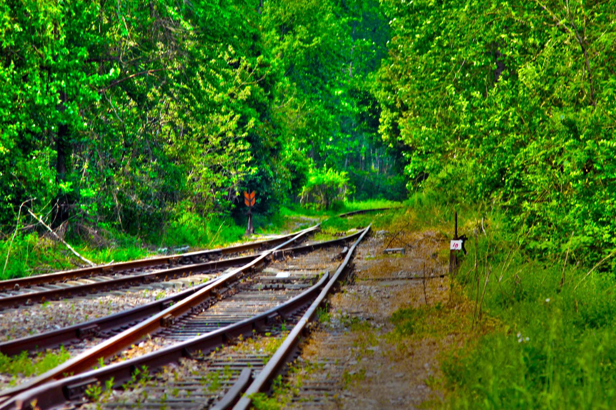 我省今年年內(nèi)有4條鐵路線投入運(yùn)營(yíng)更多出行選擇！