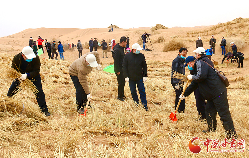 不“疫”樣的植樹節(jié)！甘肅省新聞戰(zhàn)線工作者攜手播綠“八步沙”（圖+視頻）