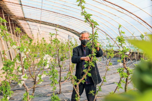 銅城復(fù)蘇：春光明媚，邀你共賞芳華（組圖）