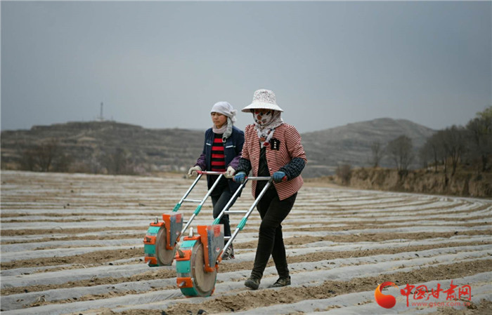 【甘肅省決戰(zhàn)決勝脫貧攻堅】蘭州榆中：加快農(nóng)業(yè)產(chǎn)業(yè)轉(zhuǎn)型升級帶動群眾增收致富
