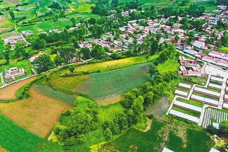 【溫暖的回響 滄桑巨變 飲水思源】這條路，通往幸福