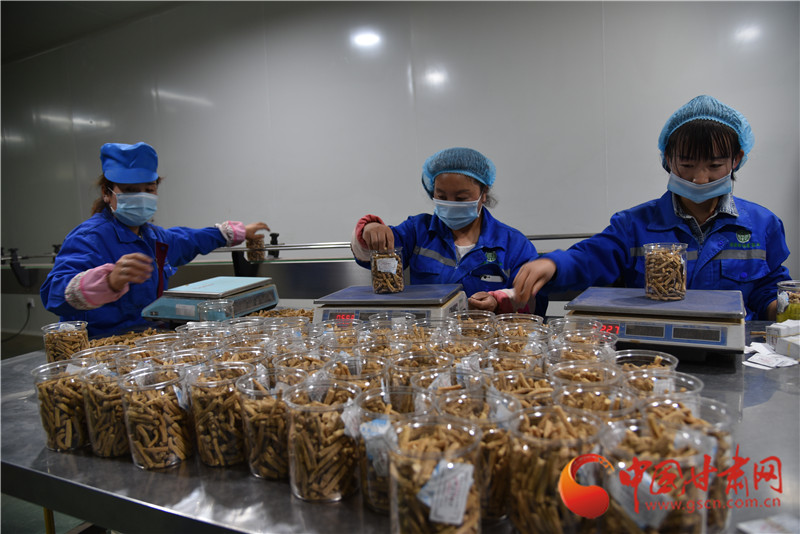 定西渭源：以工業(yè)集中區(qū)為核心引領(lǐng)工業(yè)經(jīng)濟穩(wěn)步發(fā)展（組圖）