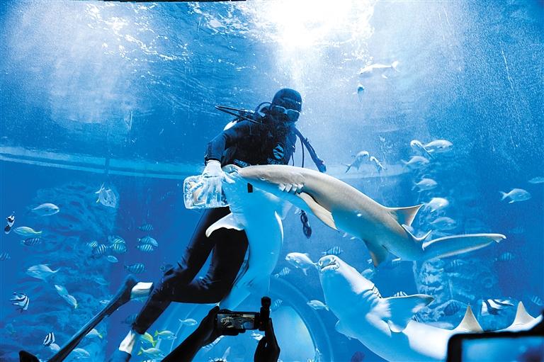 蘭州海洋公園 金昌火星1號基地 這個暑假我們“上天入?！?>
        </a><em>蘭州海洋公園 金昌火星1號基地 這個暑假我們“上天入?！?/em></li>
    <li><a  target=