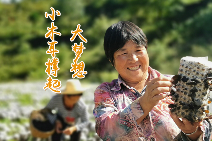 海報丨他們，乘“豐”破浪！