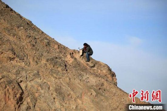 圖為敦煌“80后”畫家張杰龍在敦煌三危山里采集礦石顏料。(資料圖)受訪者供圖