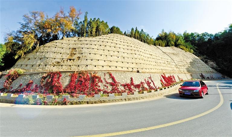 近90度陡坡上種樹！蘭州南北兩山綠化出新招