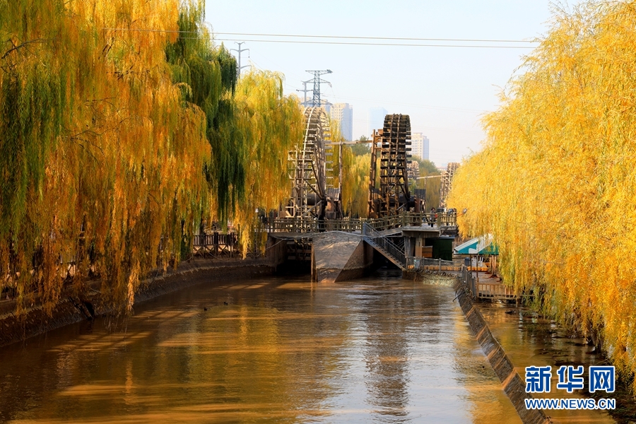 【大美甘肅】黃河之濱 水車(chē)之都