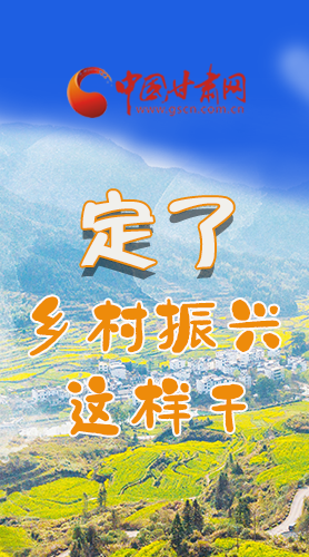 圖解|定了！全面推進(jìn)鄉(xiāng)村振興這樣干！
