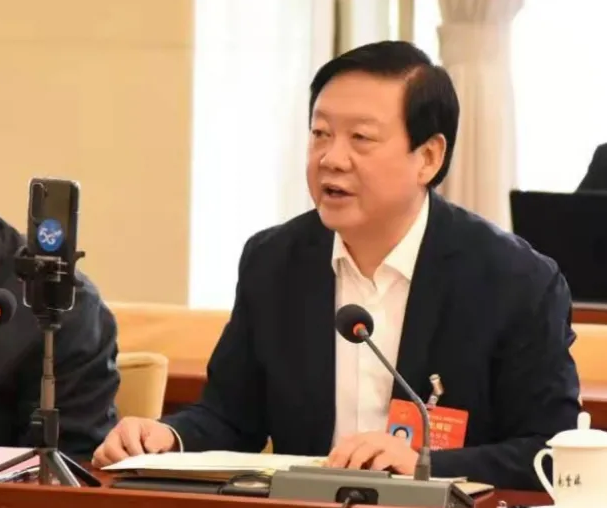 【聚焦2021全國兩會】全國人大代表、市委書記楊維俊接受中國日報記者采訪