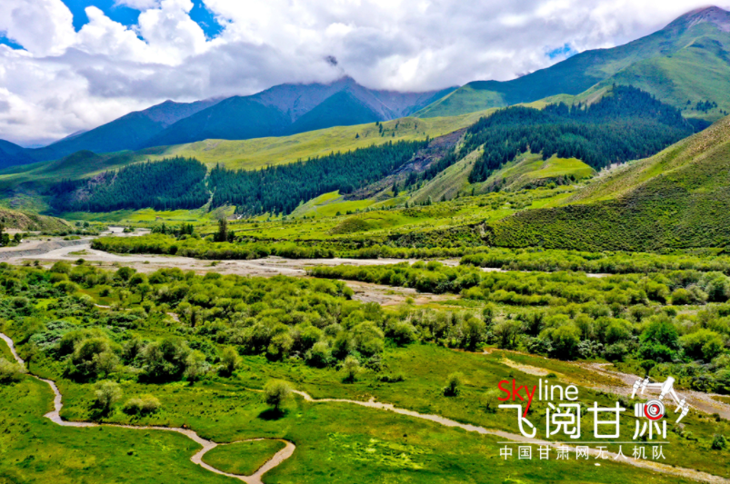 【飛閱甘肅】祁連山國(guó)家公園：雨霽初晴 林海如畫