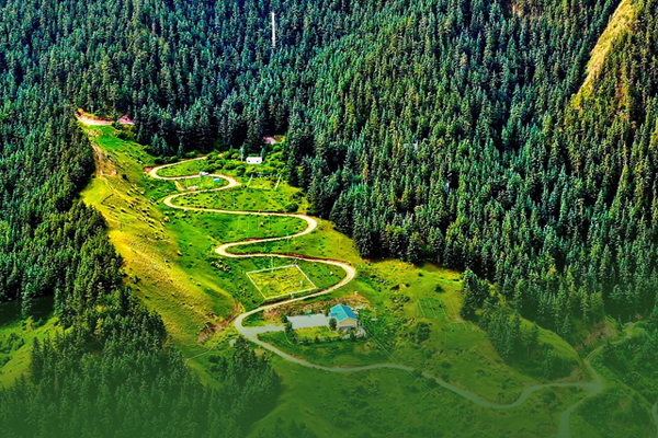 海報|祁連山保護(hù)區(qū)生態(tài)環(huán)境問題整改全面完成！