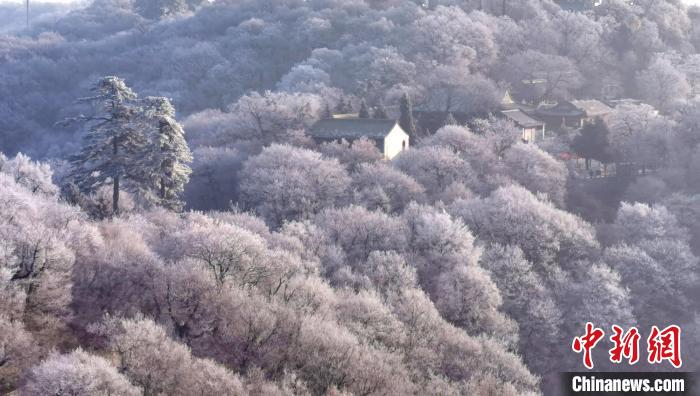 圖為霧凇美景?！⌒煺袢A 攝