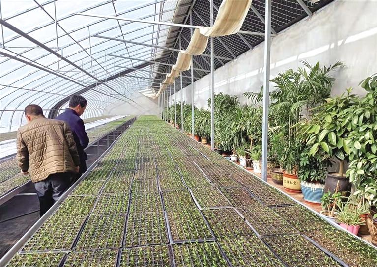 春來好時節(jié) 田間農事忙 皋蘭縣計劃完成農作物春播面積26萬畝