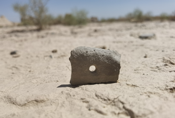 插圖1：河西走廊上遺存的古陶片。攝影：陳曉斌。拍攝日期：2020年6月。
