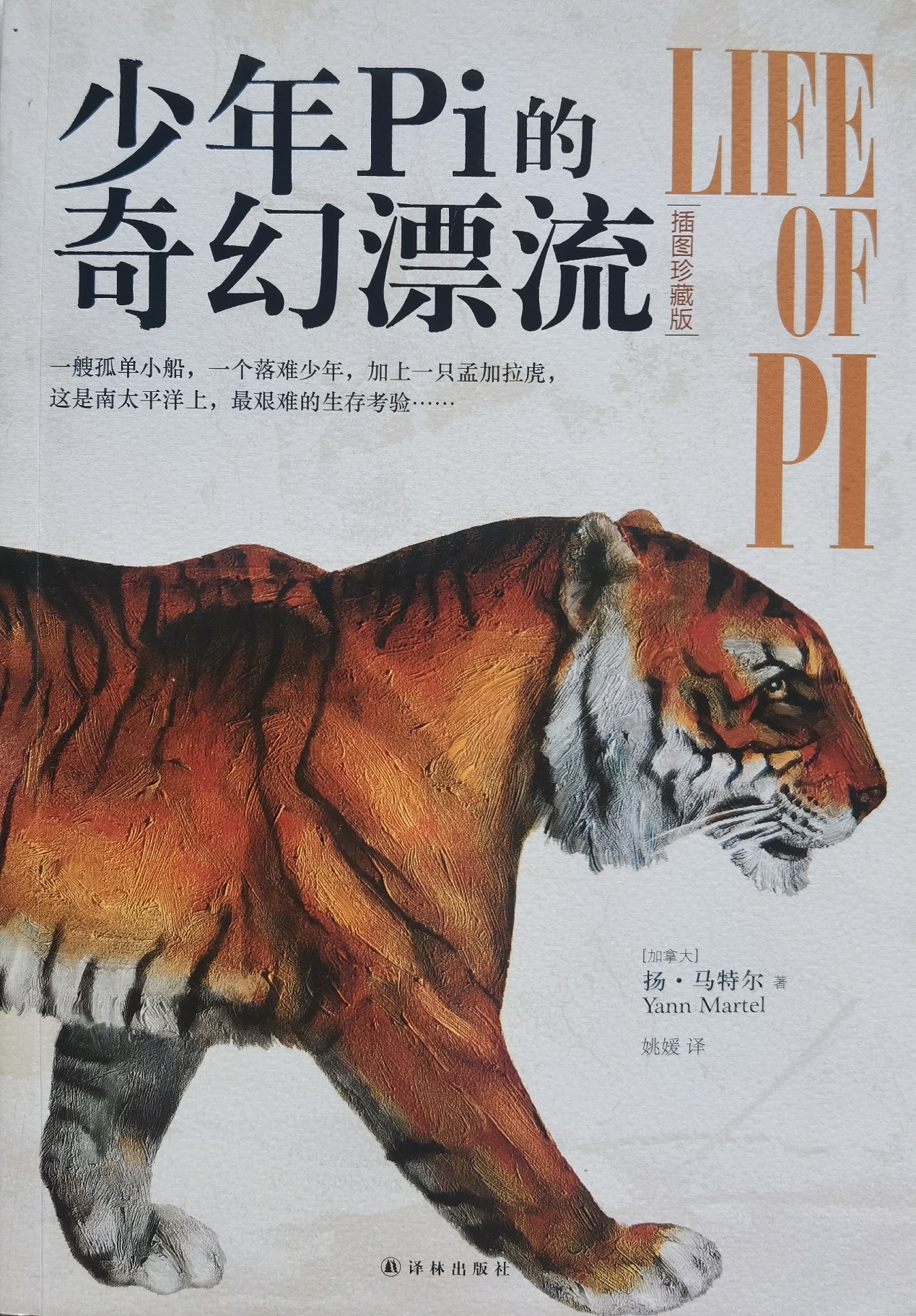插圖1：揚(yáng)？馬特爾的小說《少年pi的奇幻漂流》封面