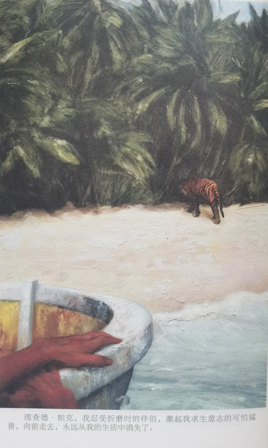 插圖3：揚(yáng)？馬特爾的小說《少年pi的奇幻漂流》插圖