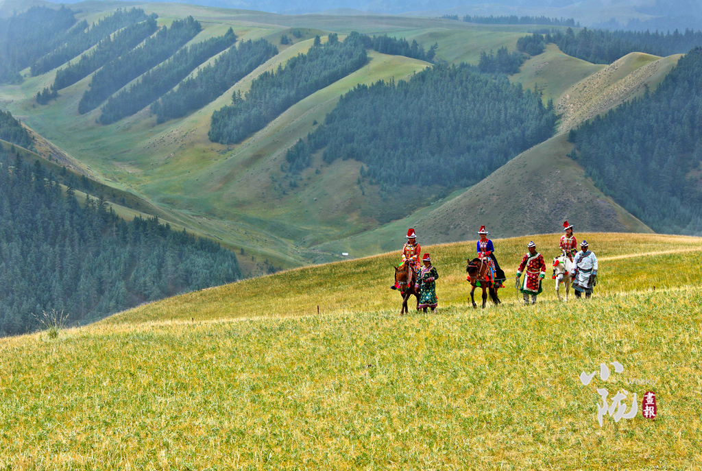 【小隴畫(huà)報(bào)·144期】張掖肅南:民族風(fēng)從草原來(lái)