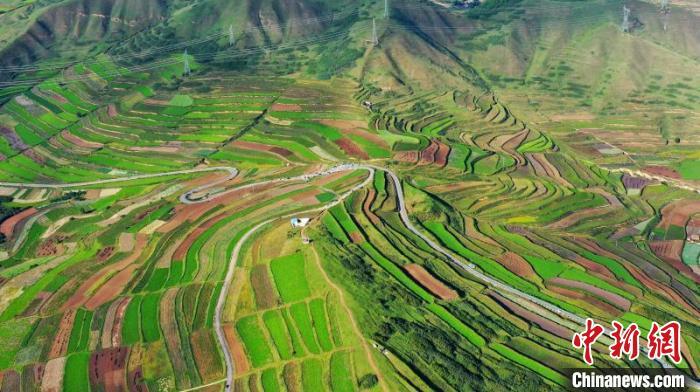 秋日里，榆中縣馬坡鄉(xiāng)千畝梯田，不同農(nóng)作物漸趨成熟，呈現(xiàn)出多種色彩，宛若大地的“調(diào)色盤(pán)”。　劉曉波 攝