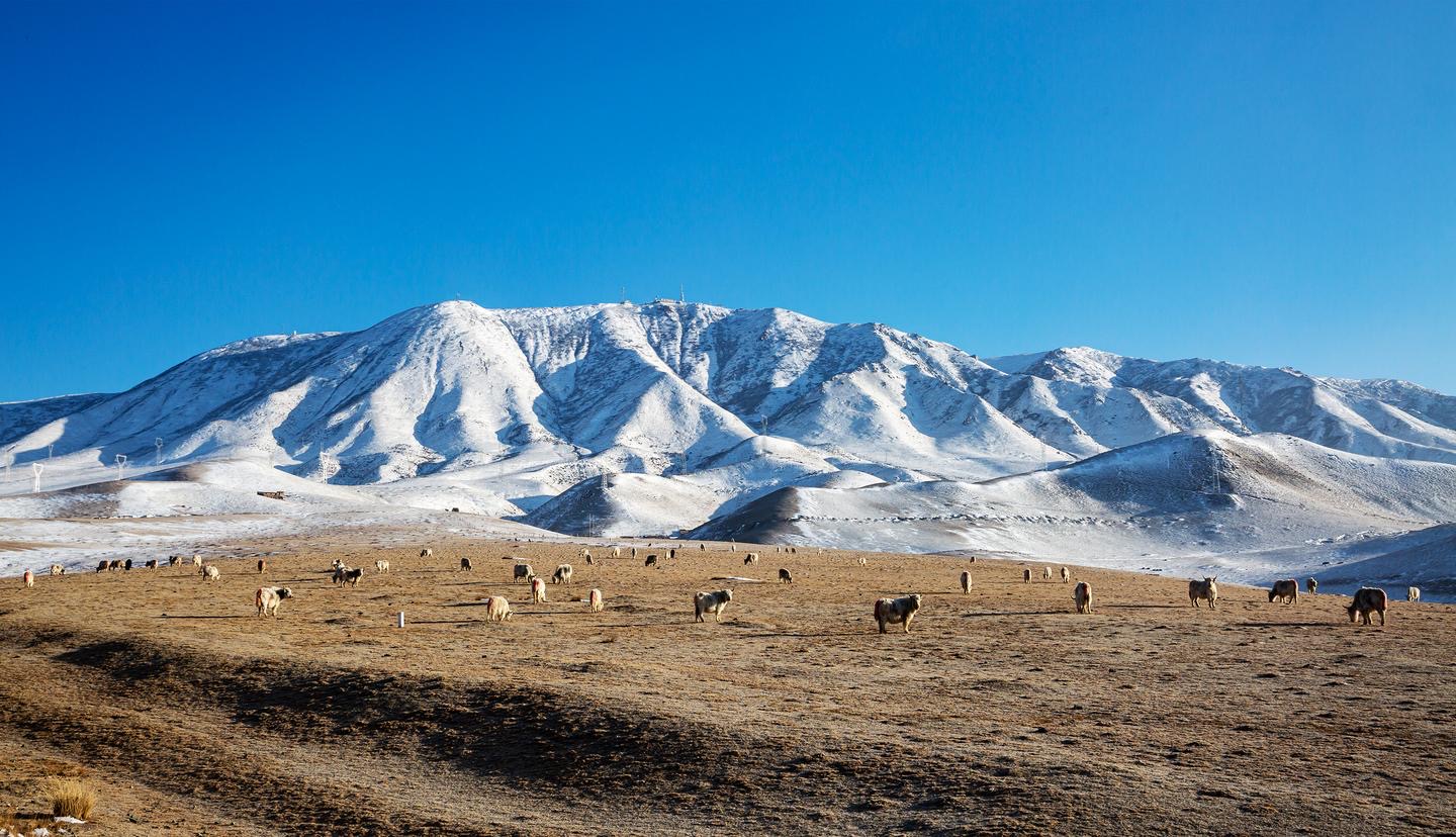 【輪播】武威天祝:祁連山烏鞘嶺段雪后初霽 靜美如畫(huà)_fororder_6