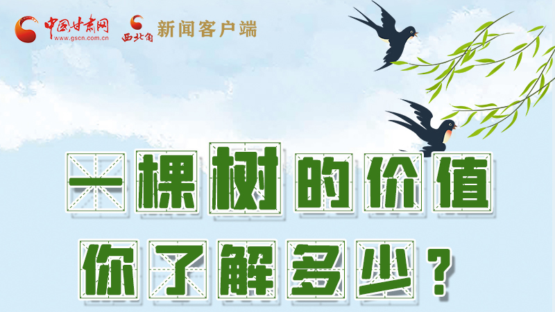 圖解|一棵樹的價(jià)值你了解多少?來看！