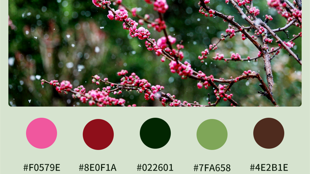 微海報(bào)|收藏！色卡里的春日甘肅