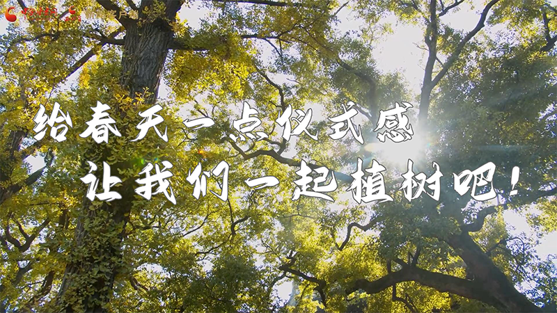 短視頻|給春天一點(diǎn)儀式感，讓我們一起植樹吧！
