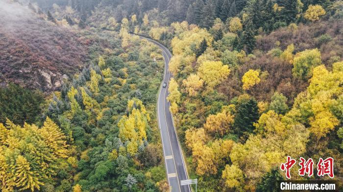 深秋，航拍位于蘭州市榆中縣的興隆山，景色如畫。金峯 攝</p>
<p>