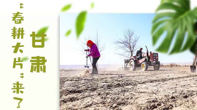 【甘快看】海報|瞧！甘肅“春耕大片”來了