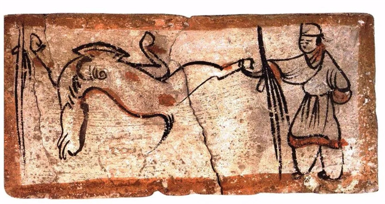 1714956881142426.jpg 20240506_085835_003.jpg