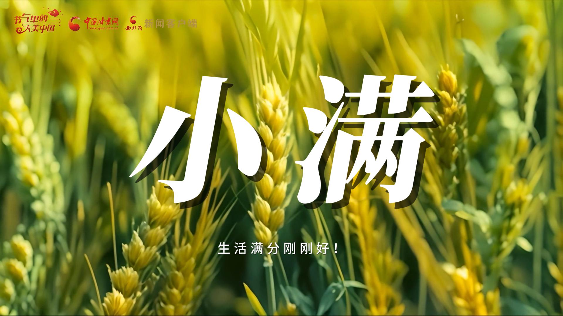 【節(jié)氣里的大美甘肅·小滿】生活滿分剛剛好！