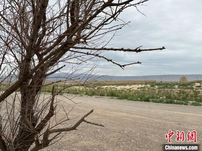 圖為位于長城墻體上的“馬面”或“敵臺”。　戴文昌 攝