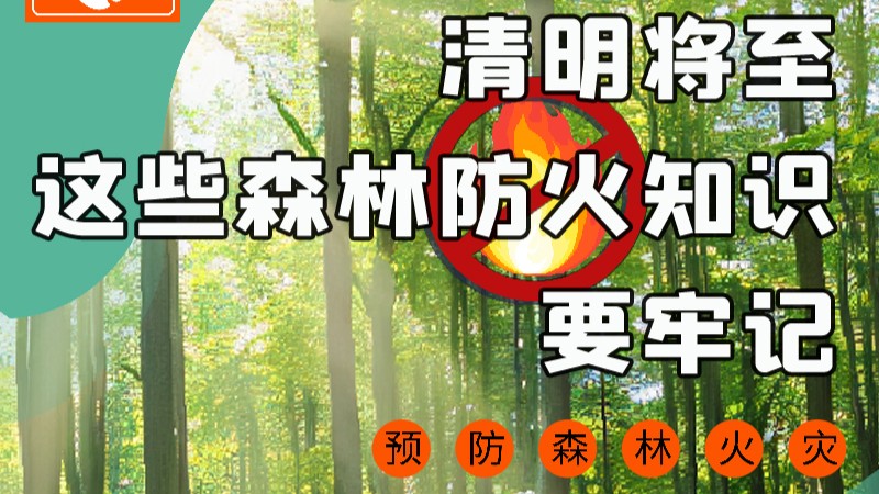【甘快看】圖解|緊繃“安全弦”！清明，這些森林防火知識要牢記