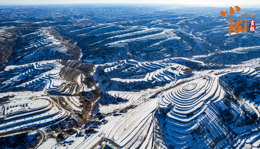 【小隴畫報·465期】雪落華池：黃土高原的冬日詩行