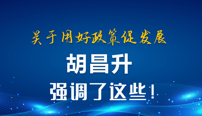 圖解|關(guān)于用好政策促發(fā)展 胡昌升強(qiáng)調(diào)了這些！