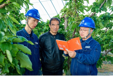 國網(wǎng)慶陽供電公司：電力賦能特色產(chǎn)業(yè) 精準(zhǔn)服務(wù)助力鄉(xiāng)村振興